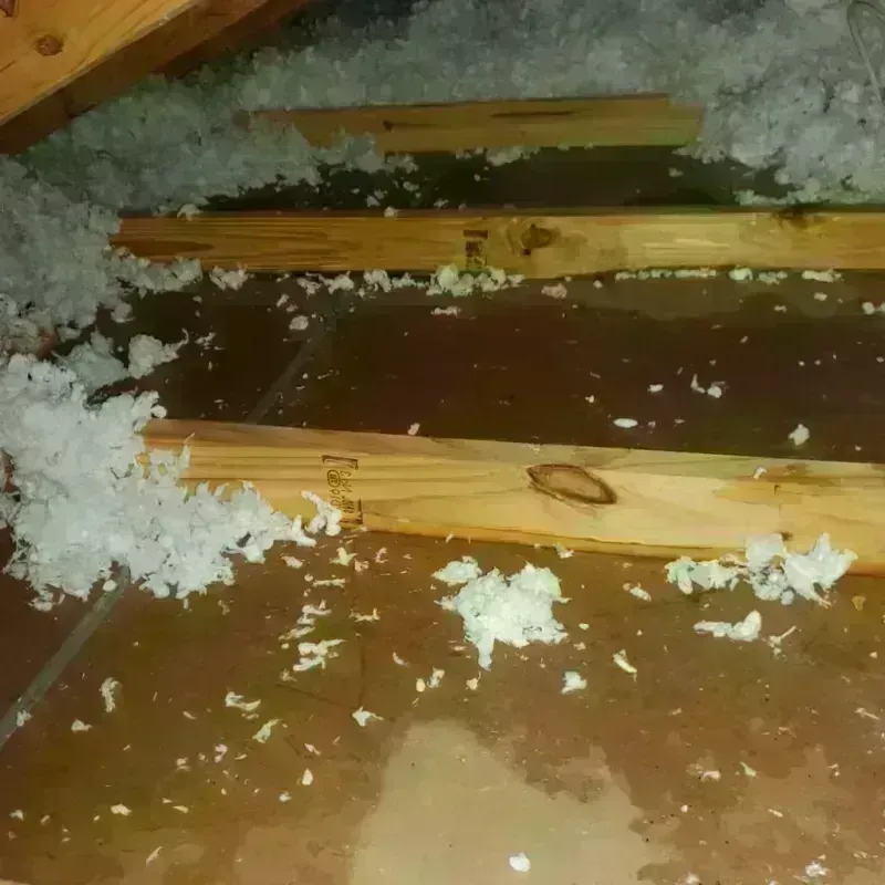 Attic Water Damage in Perry County, AR