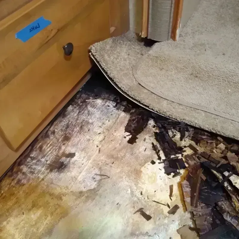 Wood Floor Water Damage in Perry County, AR